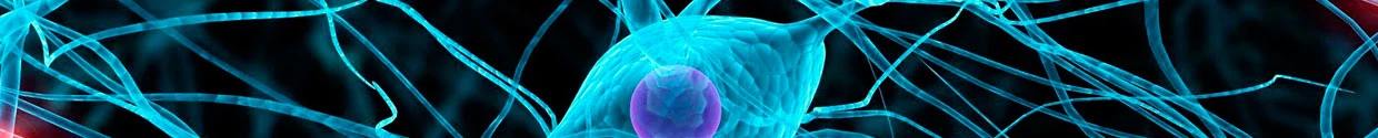 Neurologia